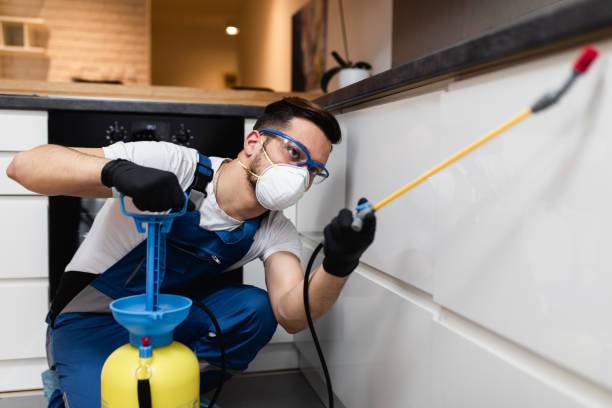 Best Local Pest Control Services  in Loudon, TN