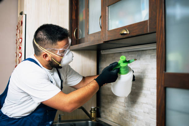 Best Insect Control  in Loudon, TN
