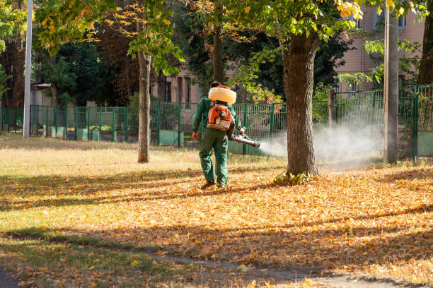 Best Pest Prevention Services  in Loudon, TN