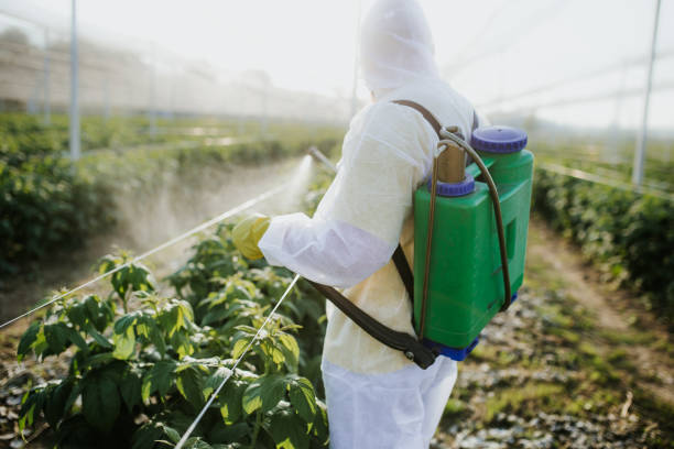 Best Pest Control Near Me  in Loudon, TN
